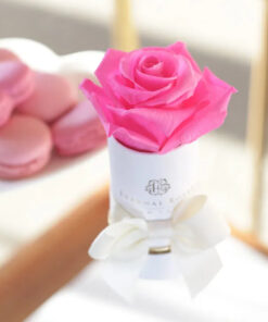 Single Eternal Rose | Liberty Gift Box in Barbie-lish