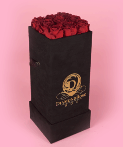 The Nine Carat Roses In a Velvet Box