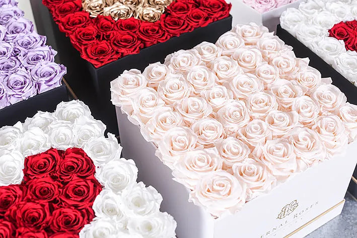 Grand Square Lennox Lux Gift Box in Ombre - Image 4