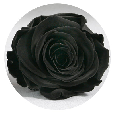 The Queens Long Lasting Roses In a Box - Image 2