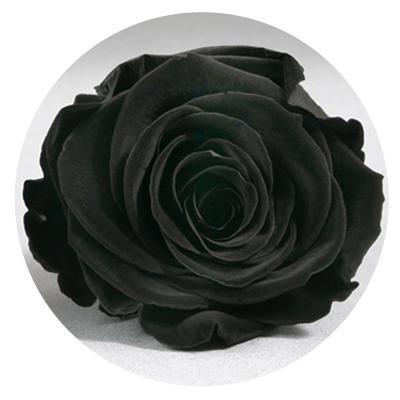 Red Velvet Heart Box with Mini Roses - Image 5