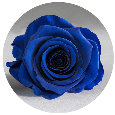 Red Velvet Heart Box with Mini Roses - Image 2