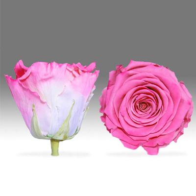 Red Velvet Heart Box with Mini Roses - Image 11