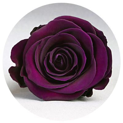 Red Velvet Heart Box with Mini Roses - Image 8