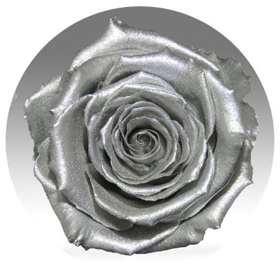 The Queens Long Lasting Roses In a Box - Image 14