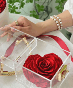 Love Lock Acrylic Box