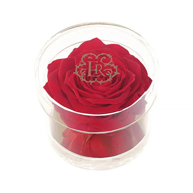 Vday Special-Madison Gold Round Acrylic Gift Box in Scarlet - Image 4