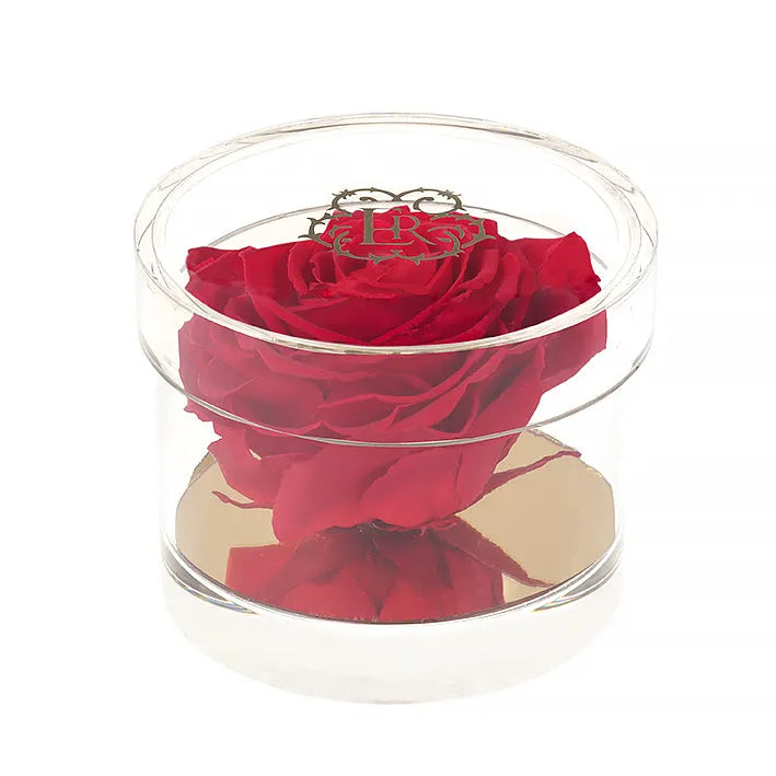 Vday Special-Madison Gold Round Acrylic Gift Box in Scarlet - Image 3