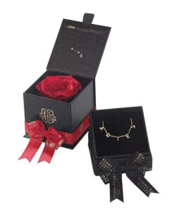 Aries Astor Box & Necklace Bundle
