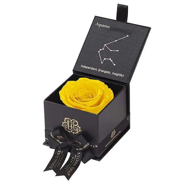 Eternal Rose AQUARIUS Gift Box, Astor Collection - Image 35