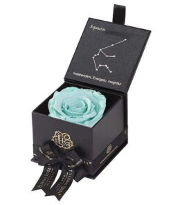 Eternal Rose AQUARIUS Gift Box, Astor Collection