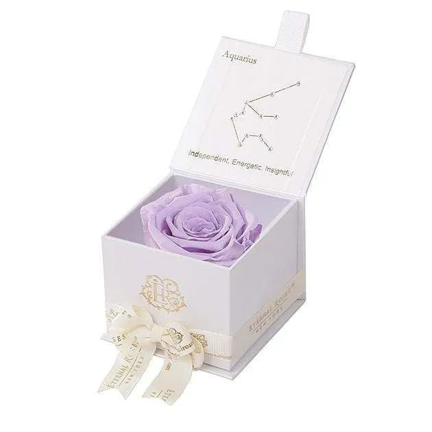 Eternal Rose AQUARIUS Gift Box, Astor Collection - Image 67