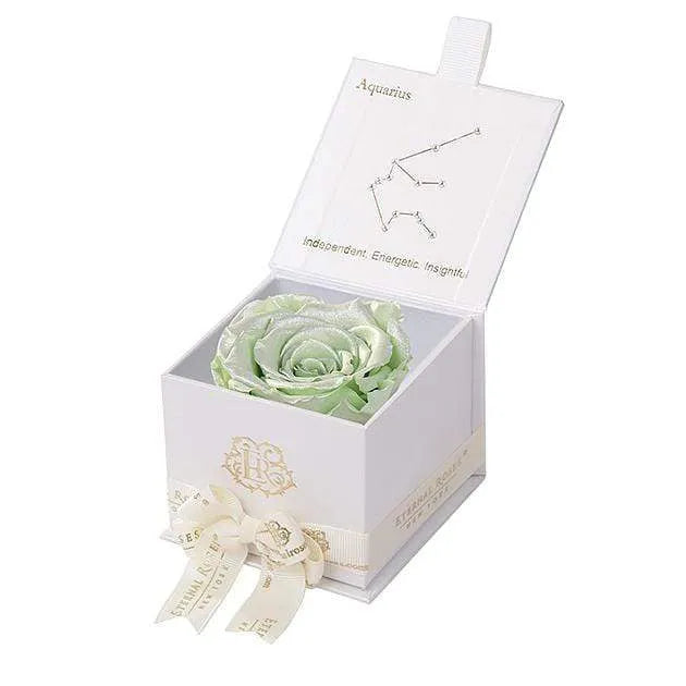 Eternal Rose AQUARIUS Gift Box, Astor Collection - Image 37
