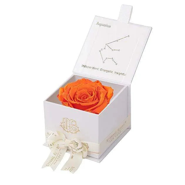 Eternal Rose AQUARIUS Gift Box, Astor Collection - Image 39