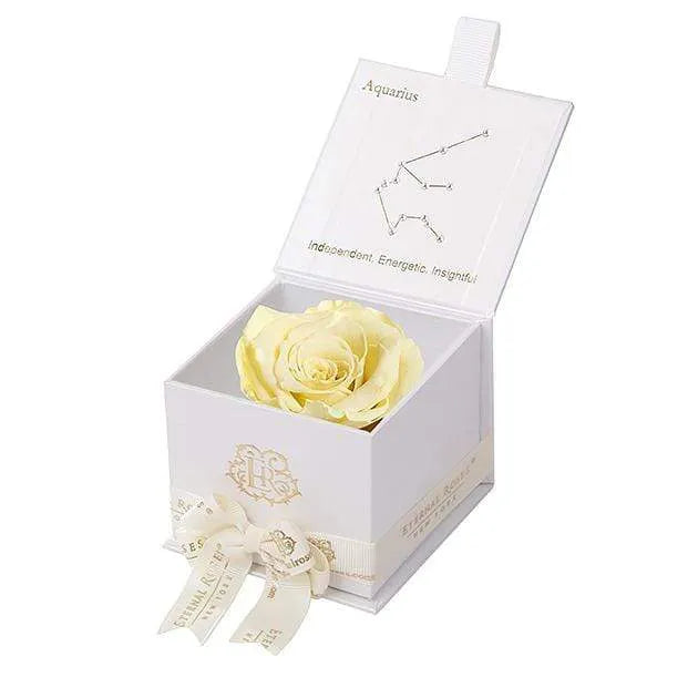 Eternal Rose AQUARIUS Gift Box, Astor Collection - Image 64