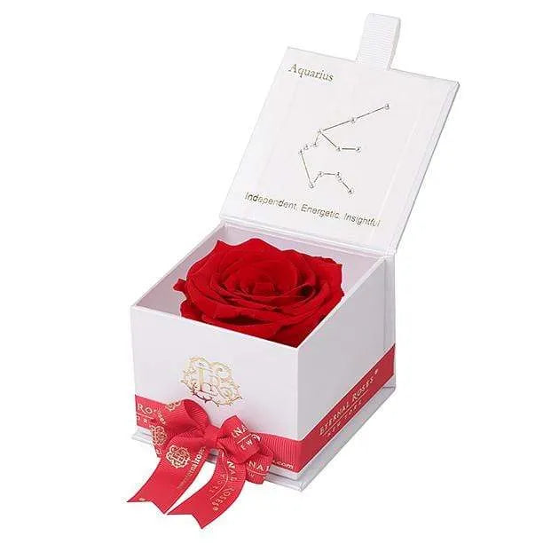 Eternal Rose AQUARIUS Gift Box, Astor Collection - Image 61