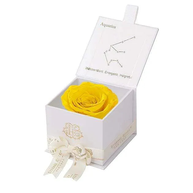 Eternal Rose AQUARIUS Gift Box, Astor Collection - Image 43