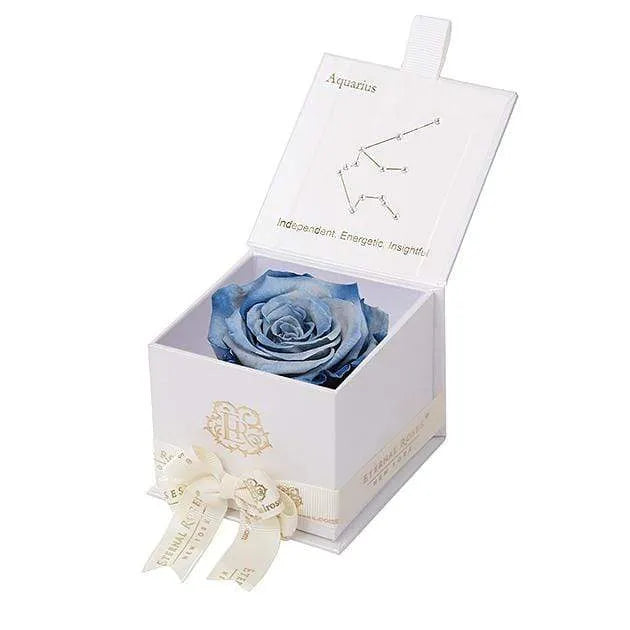 Eternal Rose AQUARIUS Gift Box, Astor Collection - Image 66