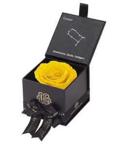 Eternal Rose GEMINI Gift Box, Astor Collection
