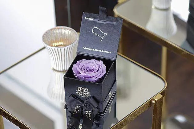 Eternal Rose GEMINI Gift Box, Astor Collection - Image 2