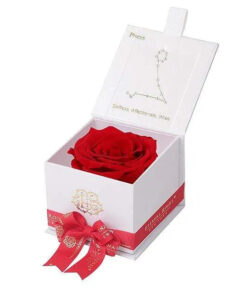 Eternal Rose PISCES Gift Box, Astor Collection