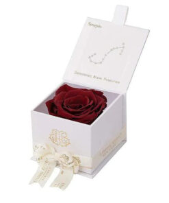 Eternal Rose SCORPIO Gift Box, Astor Collection