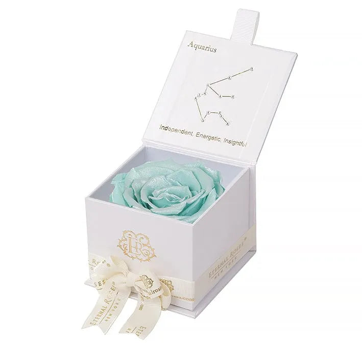 Eternal Rose AQUARIUS Gift Box, Astor Collection - Image 88