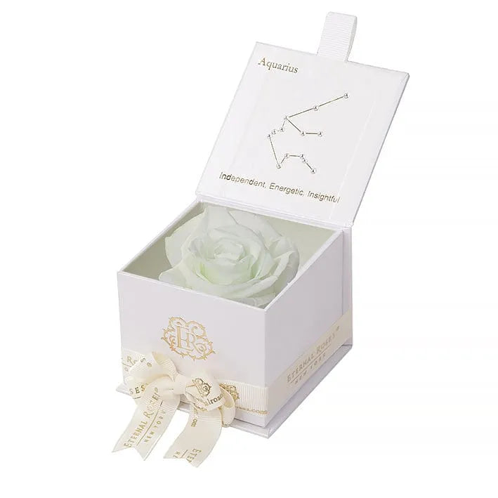 Eternal Rose AQUARIUS Gift Box, Astor Collection - Image 90
