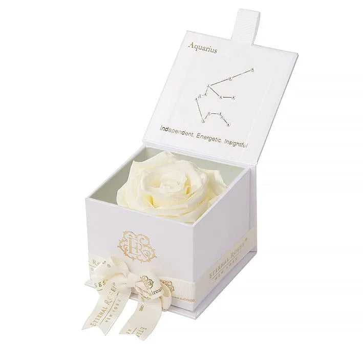 Eternal Rose AQUARIUS Gift Box, Astor Collection - Image 94