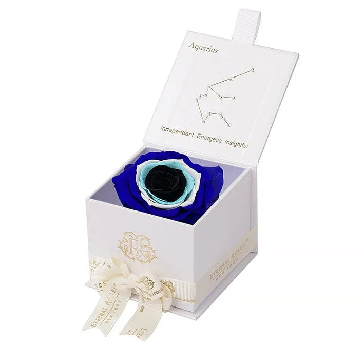 Eternal Rose AQUARIUS Gift Box, Astor Collection - Image 95