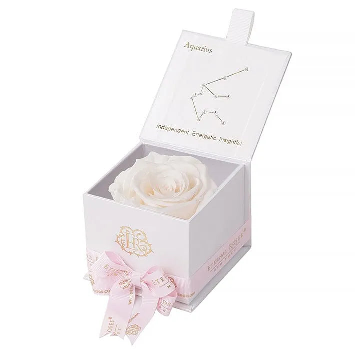 Eternal Rose AQUARIUS Gift Box, Astor Collection - Image 99
