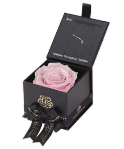 Eternal Rose ARIES Gift Box, Astor Collection