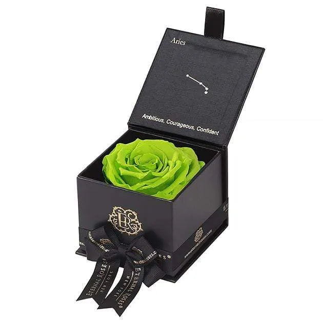 Eternal Rose ARIES Gift Box, Astor Collection - Image 51