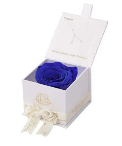 Eternal Rose CANCER Gift Box, Astor Collection