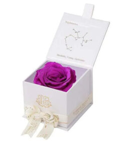 Eternal Rose SAGGITARIUS Gift Box, Astor Collection