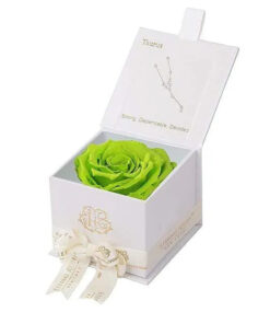 Eternal Rose TAURUS Gift Box, Astor Collection