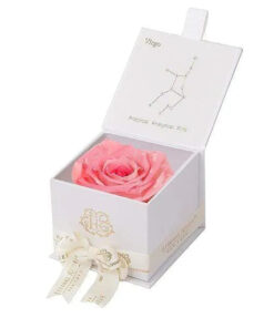 Eternal Rose VIRGO Gift Box, Astor Collection