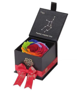Astor Black Gift Box in Rainbow ALL SIGNS