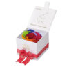 Astor White Gift Box in Rainbow ALL SIGNS