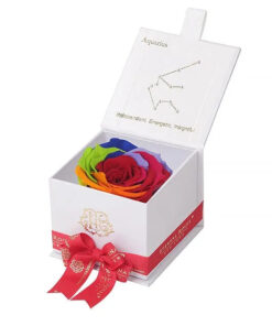 Astor White Gift Box in Rainbow ALL SIGNS