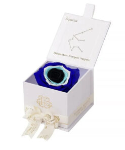 Evil Eye Astor Eternal Rose Gift Box - AQUARIUS