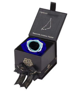 Evil Eye Astor Eternal Rose Gift Box - CAPRICORN