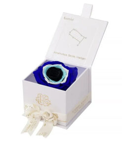 Evil Eye Astor Eternal Rose Gift Box - GEMINI