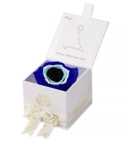 Evil Eye Astor Eternal Rose Gift Box - PISCES