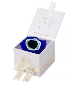 Evil Eye Astor Eternal Rose Gift Box - SAGITTARIUS