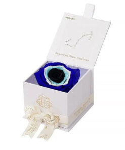 Evil Eye Astor Eternal Rose Gift Box - SCORPIO