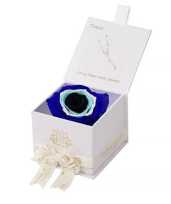 Evil Eye Astor Eternal Rose Gift Box - TAURUS