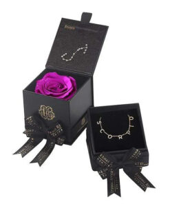 Scorpio Astor Box & Necklace Bundle