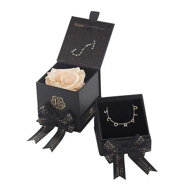 Scorpio Astor Box & Necklace Bundle - Image 11