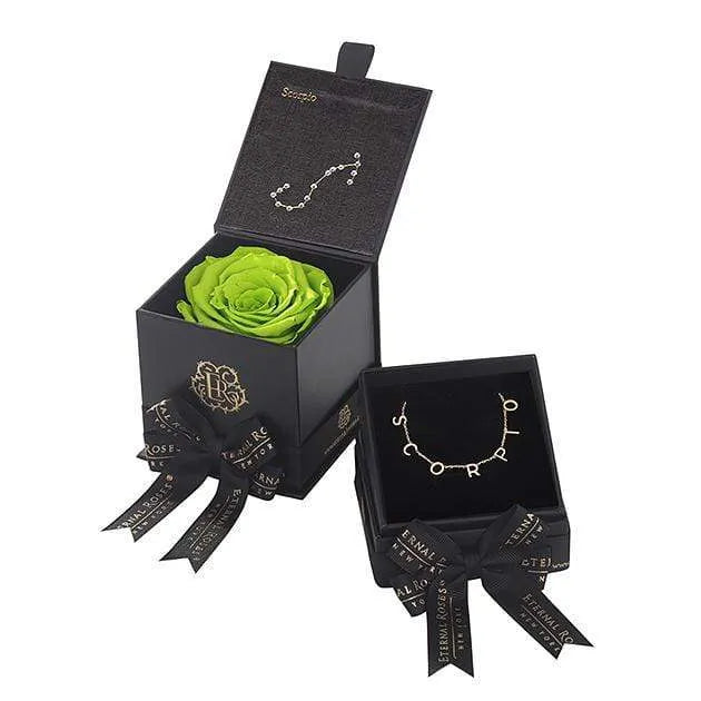 Scorpio Astor Box & Necklace Bundle - Image 10